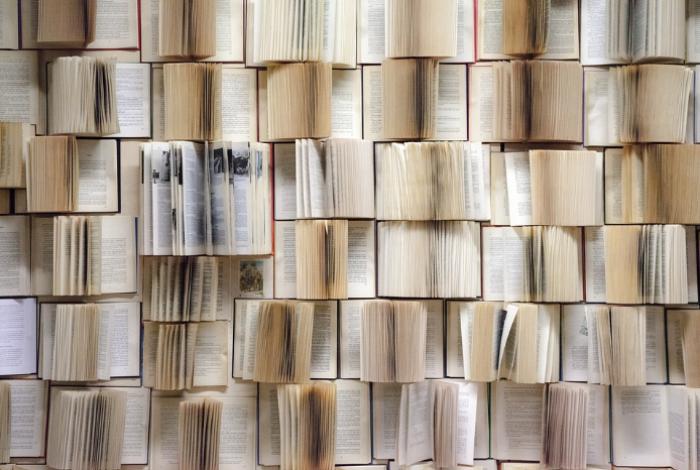 La lectura como semilla de paz: Crónica del Encuentro Estatal de Clubes, Salas de Lectura y Bibliotecas en Morelia