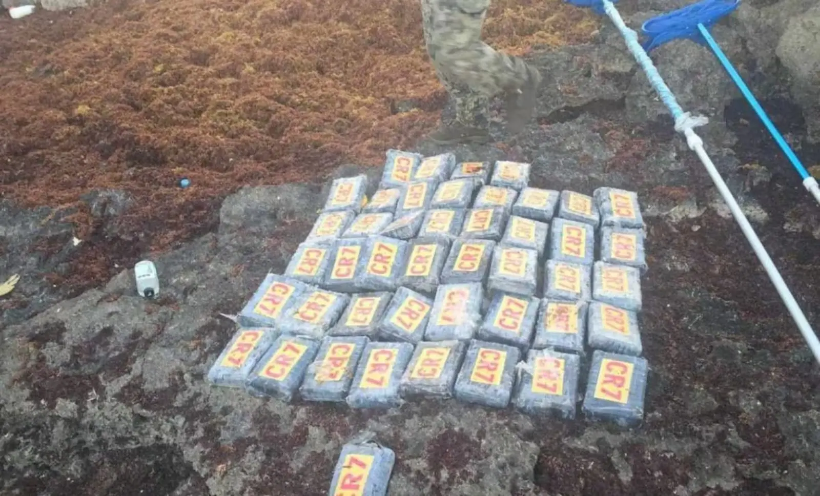 La Semar asegura alrededor de 45 paquetes de cocaína