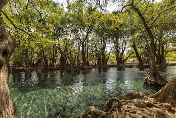 Lago de Camécuaro celebra el Día de Muertos con velada hasta el amanecer