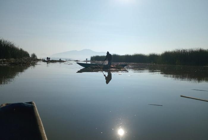 Lago de Pátzcuaro recobra vida; en 2026 se han descubierto 18 manantiales