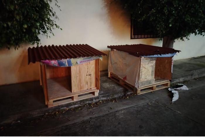 Lanzan Infonavit Perruno, para suaves lomitos de la calle y sin hogar