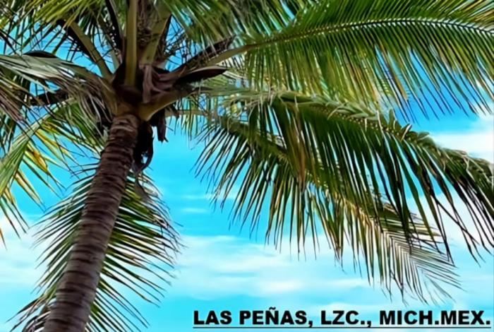 Lázaro Cárdenas se prepara para recibir el Festival Internacional de la Cerveza Costa de Michoacán 2026