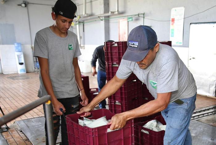 ¡Leche para el Bienestar a solo 7.50 pesos! Ahorro superior al 70 % frente a precios comerciales