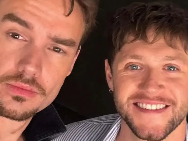 Liam Payne habría viajado a Argentina para hablar con Niall Horan