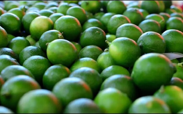 Limoneros hacen paro en Michoacán