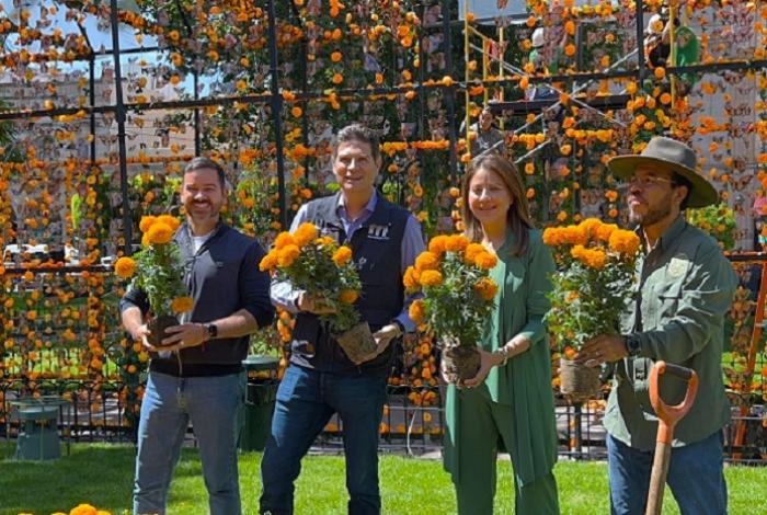 Llaman a morelianos a no robarse las macetas de cempasúchil que el ayuntamiento coloca en el centro