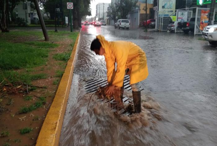 Lluvias en Morelia dejan un árbol caído, encharcamientos y cierres viales temporales