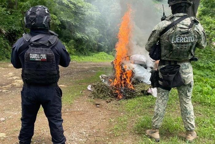 Localizados 16 costales de marihuana en Tuzantla: SSP