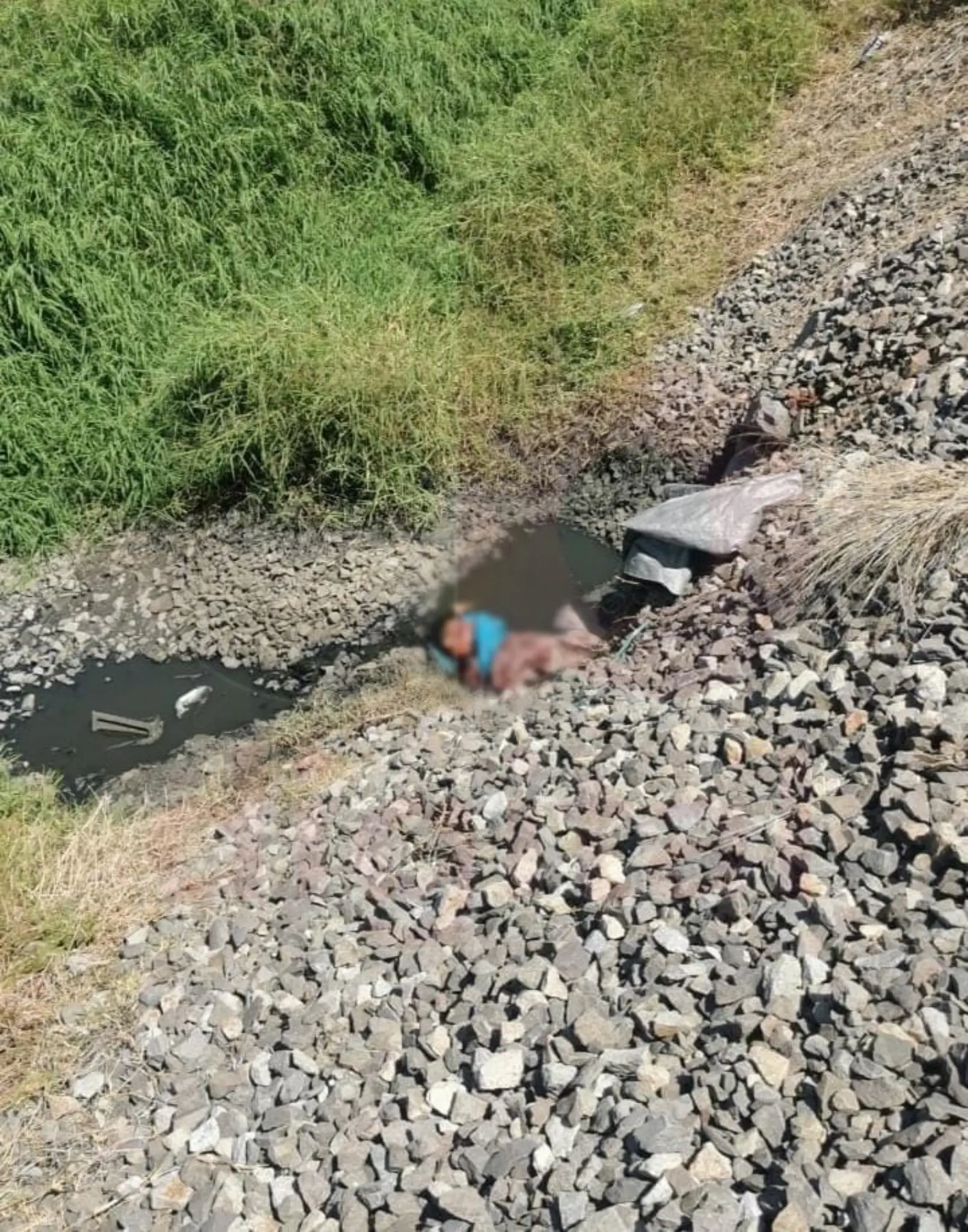 Localizan a persona desmembrada en la colonia Aquiles Serdán