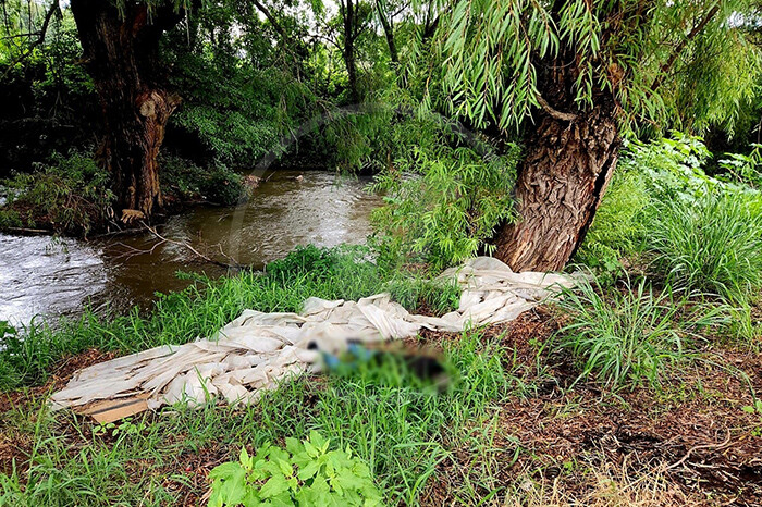 Localizan cadáver baleado y putrefacto a la orilla de un río en Jacona