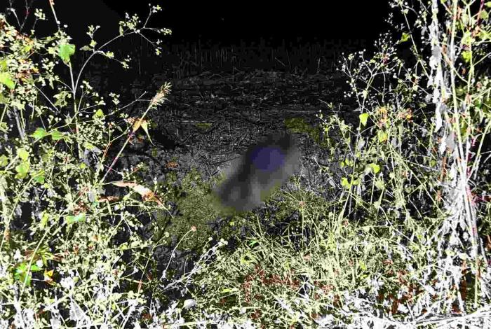 Localizan cadáver con huellas de violencia en el camino a “El Pochote”