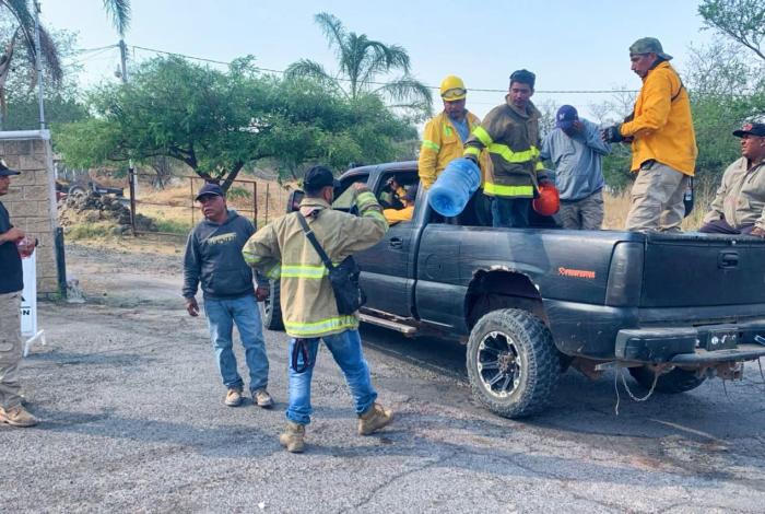 Logran extinguir tres incendios forestales en Angangueo, Chavinda y Tingüindín: Cofom