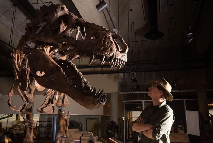 Los restos de un enorme tiranosaurio respaldan su posible origen en América del Norte