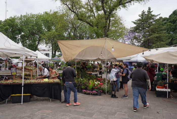 Última oportunidad para disfrutar de empanadas y capirotada o comprar plantitas