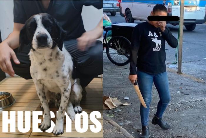 Mañana inicia el juicio contra comerciante de Zitácuaro que atacó con machete a “Huesitos”