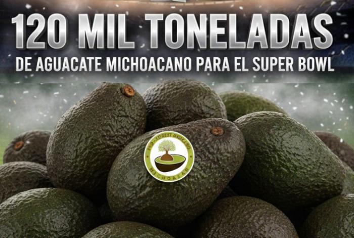 Más de 120 mil toneladas de aguacate michoacano irán a EUA para el Super Bowl