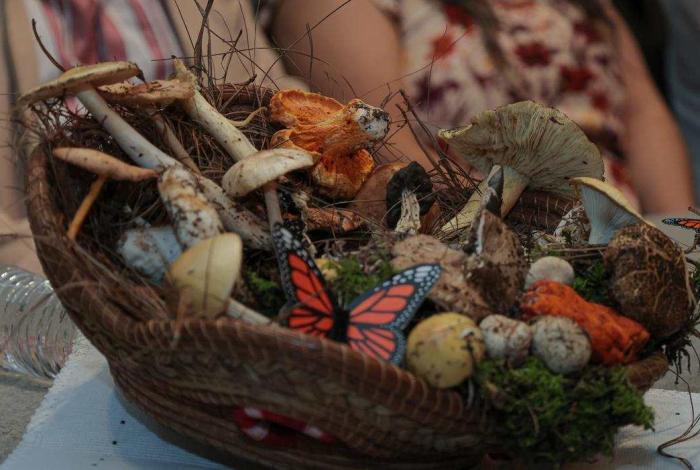 Más de 250 variedades de hongos te esperan en la feria de Senguio: Sectur