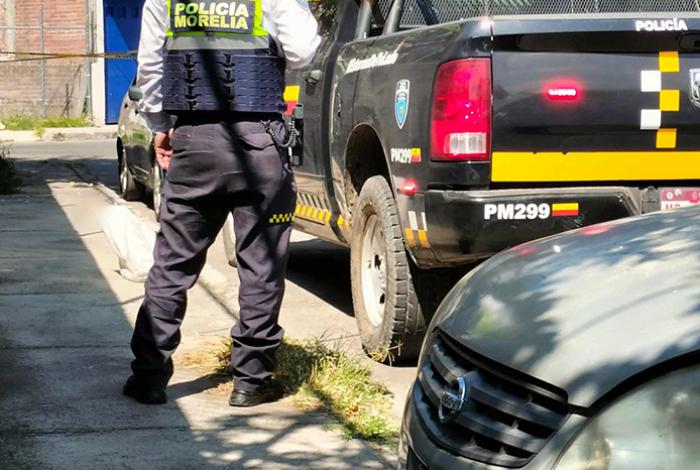 Matan a 5 perritos chihuahua y los dejan en la calle, en la colonia Carlos Salazar, de Morelia