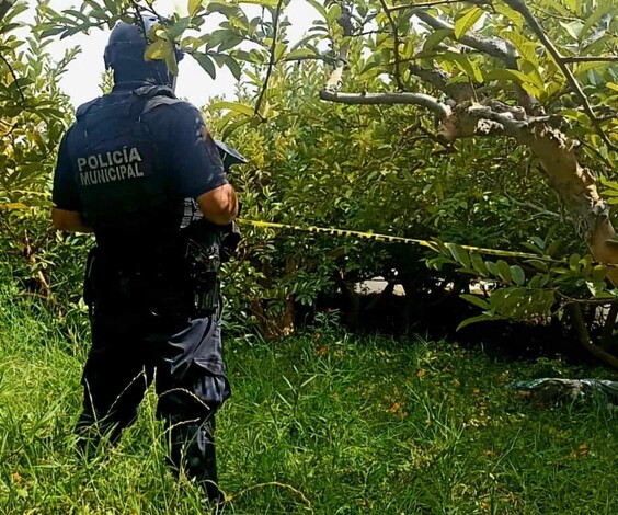 Matan a adulto mayor en un huerto de guayabas