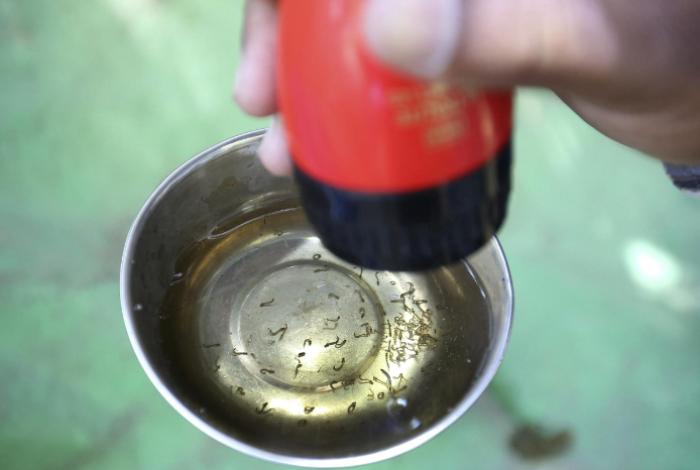 México desarrolla herramienta basada en IA para combatir el dengue ante repunte de casos