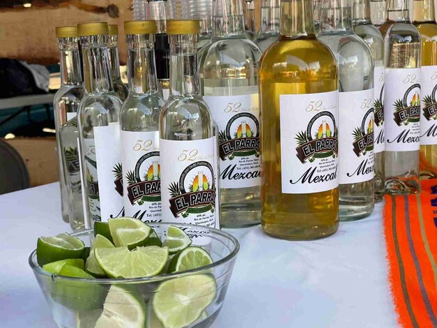 Mezcaleros de Queréndaro tuvieron baja producción este año por temas del clima