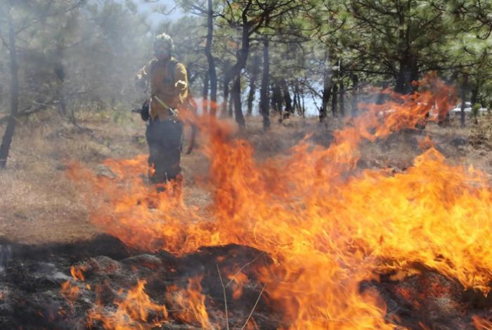 Michoacán cierra temporada de incendios con 64 % menos de superficie afectada