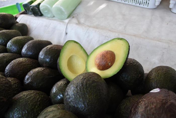 Michoacán cosechó un millón 460 mil toneladas de aguacate en la temporada 2025-2026