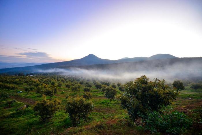 Michoacán eleva la protección ambiental a rango constitucional: Secma