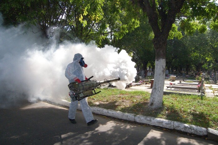 Michoacán, en top cinco de estados con más casos de dengue en 2024