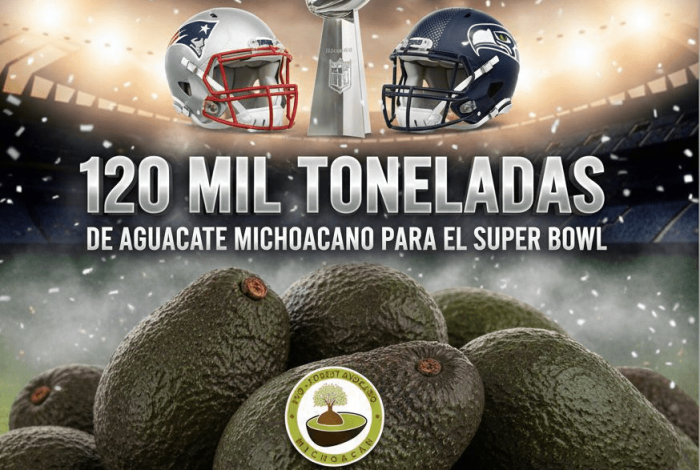 Michoacán enviará más de 120 mil tons de aguacate para el Super Bowl