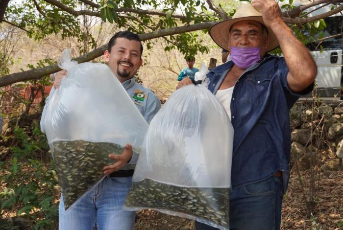 Michoacán fortalece sector pesquero con entrega de 110 mil crías de tilapia