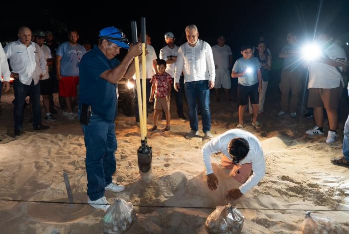 Michoacán proyecta 1.8 millones de tortugas con 27 campamentos