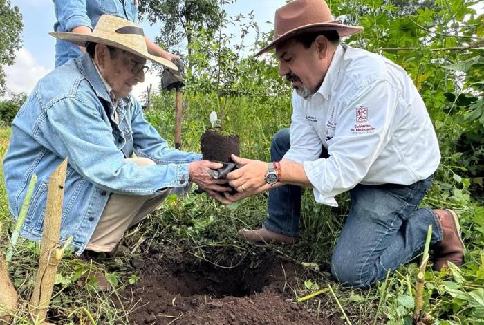 Michoacán rescata el Zapote prieto en Vivero para reforestación