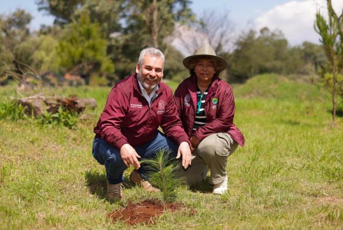 Michoacán sumará histórico de 50 millones de árboles reforestados: Bedolla