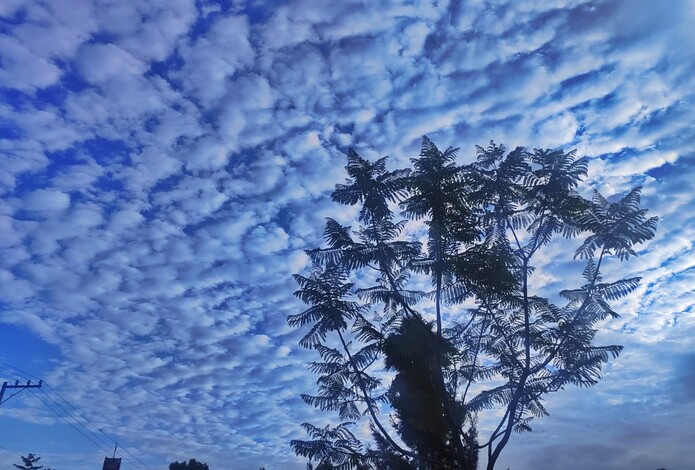 Michoacán tendrá un fin de semana entre cielo nublado, viento y lluvias