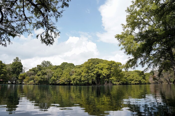 Michoacán triplica sus Áreas Naturales Protegidas