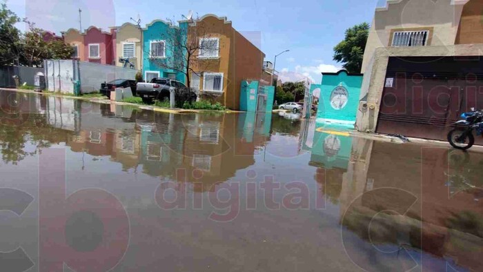 Miles de bacterias se quedan en hogares tras inundaciones