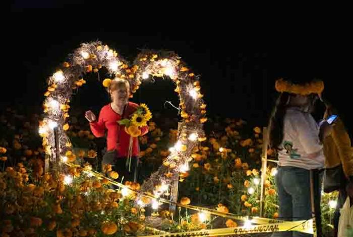 Miles de familias disfrutaron de la Fiesta de la Flor de Cempasúchil 2025 en Tarímbaro