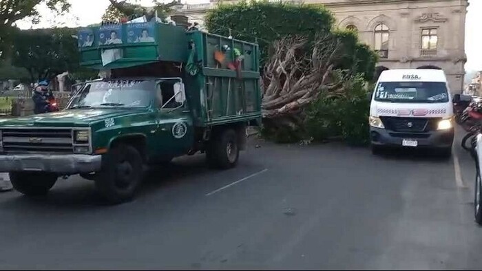 Morelia: Camioneta de basura choca contra árbol y daña columna en el Centro Histórico