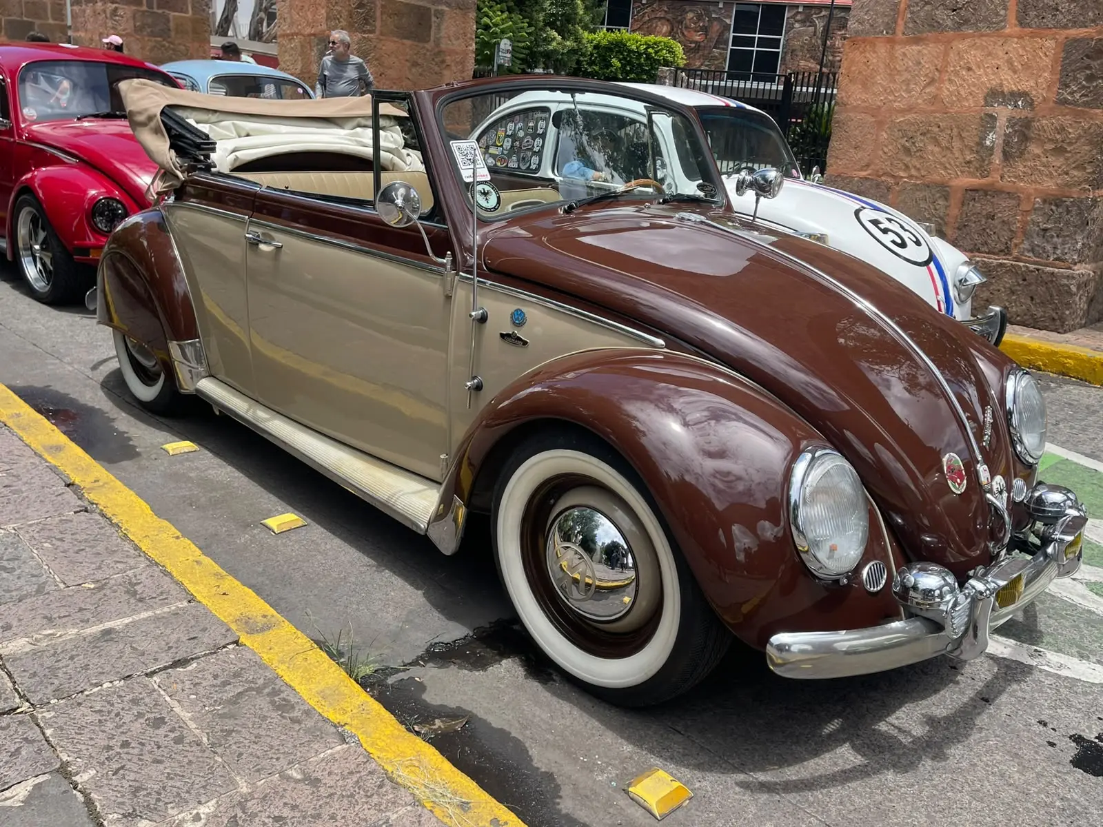 Morelia celebra la Séptima Caravana Mundial del Bocho