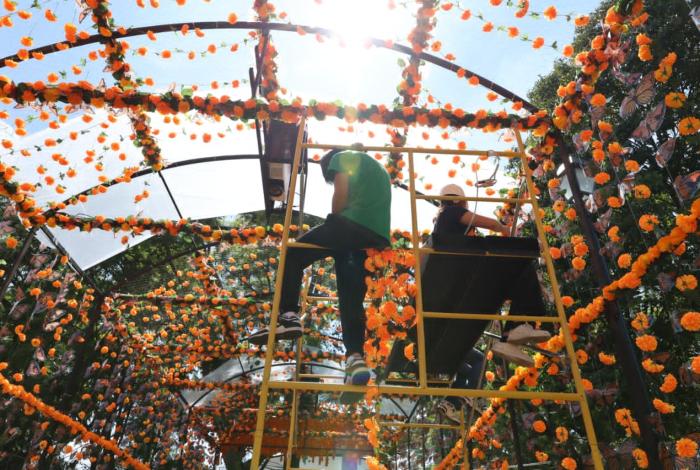 Morelia se viste de colores y olores del cempasúchil