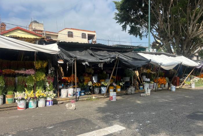 Morelia tendrá 730 tolerancias para comercio informal, en Noche de Muertos