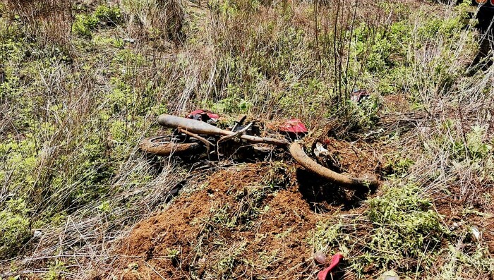 Motociclista muere atropellado