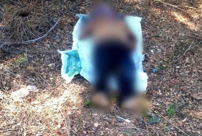 Muere ahogado un hombre en el Río Grande, en Buenavista Tomatlán