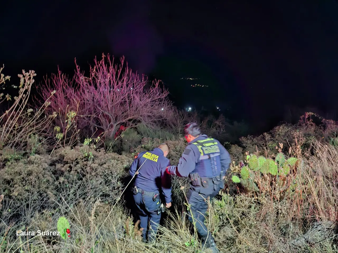 Muere conductor calcinado tras caer a un barranco en la Pátzcuaro–Morelia