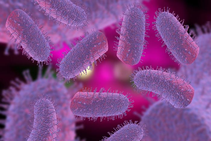 Muere un hombre por rabia en Colima; el segundo caso este año