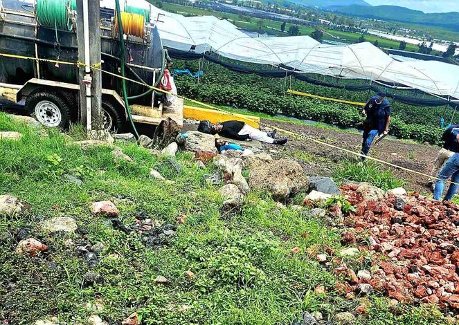 Mueren dos campesinos con químicos en Zamora