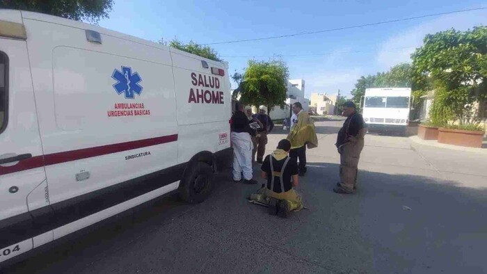 Niño de 6 años muere tras recibir más de 100 picaduras de abejas en Sinaloa