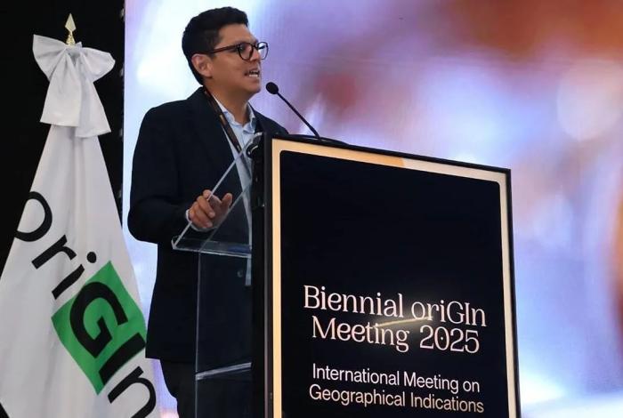 Nombran a Cástor Estrada Robles, director de Casart, como vicepresidente de oriGIn