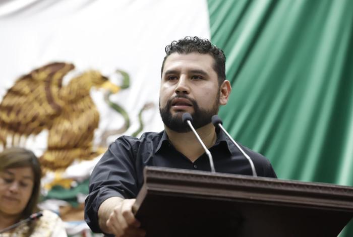 Octavio Ocampo presenta iniciativa para aumentar protección a personas con discapacidad